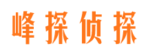 潢川侦探